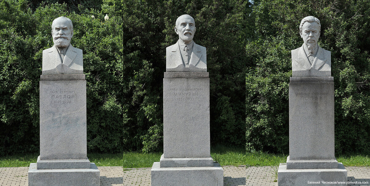 Аллея ученых МГУ
